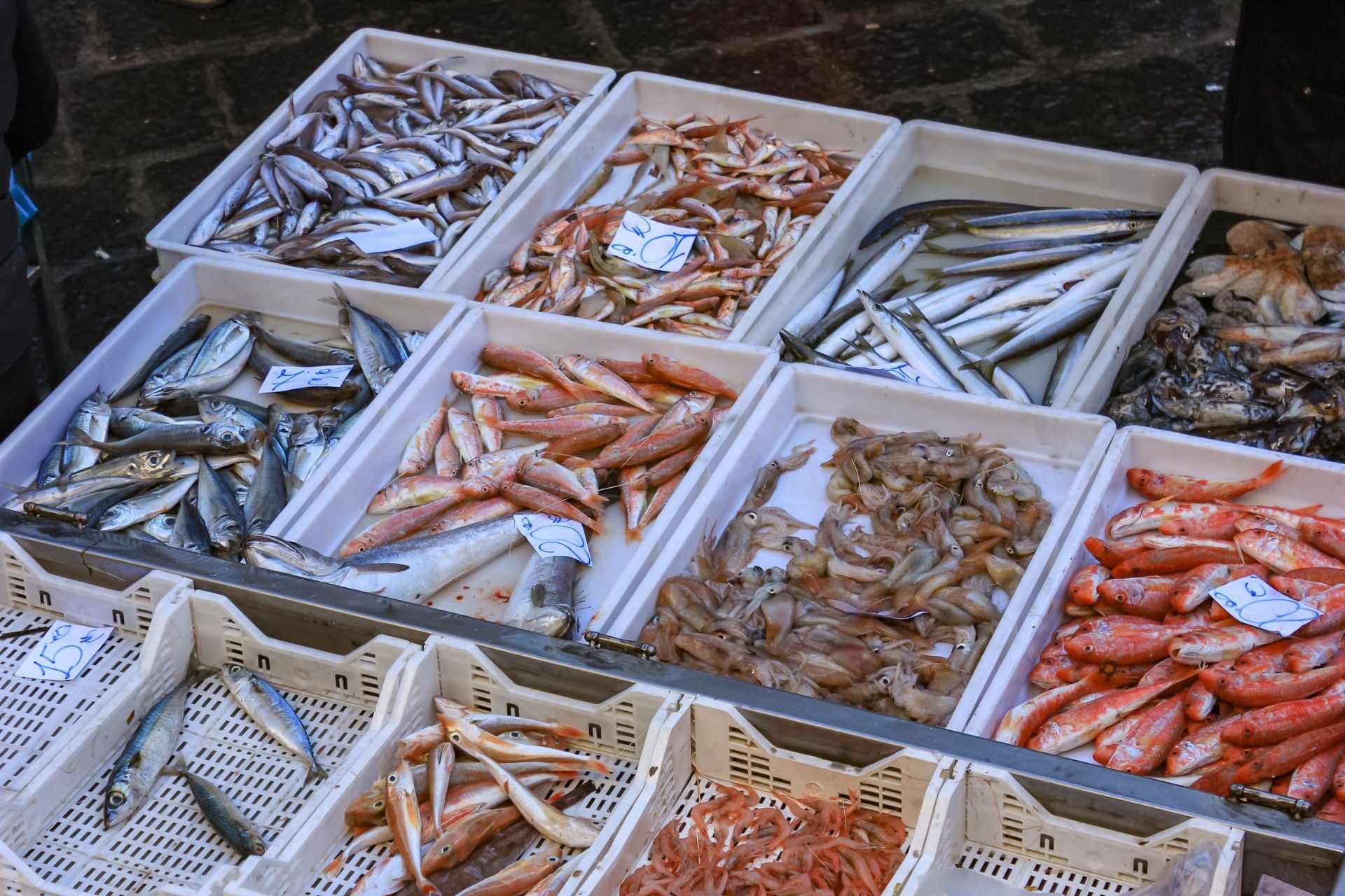 Witte bakken met vissen op de oude vismarkt van Catania