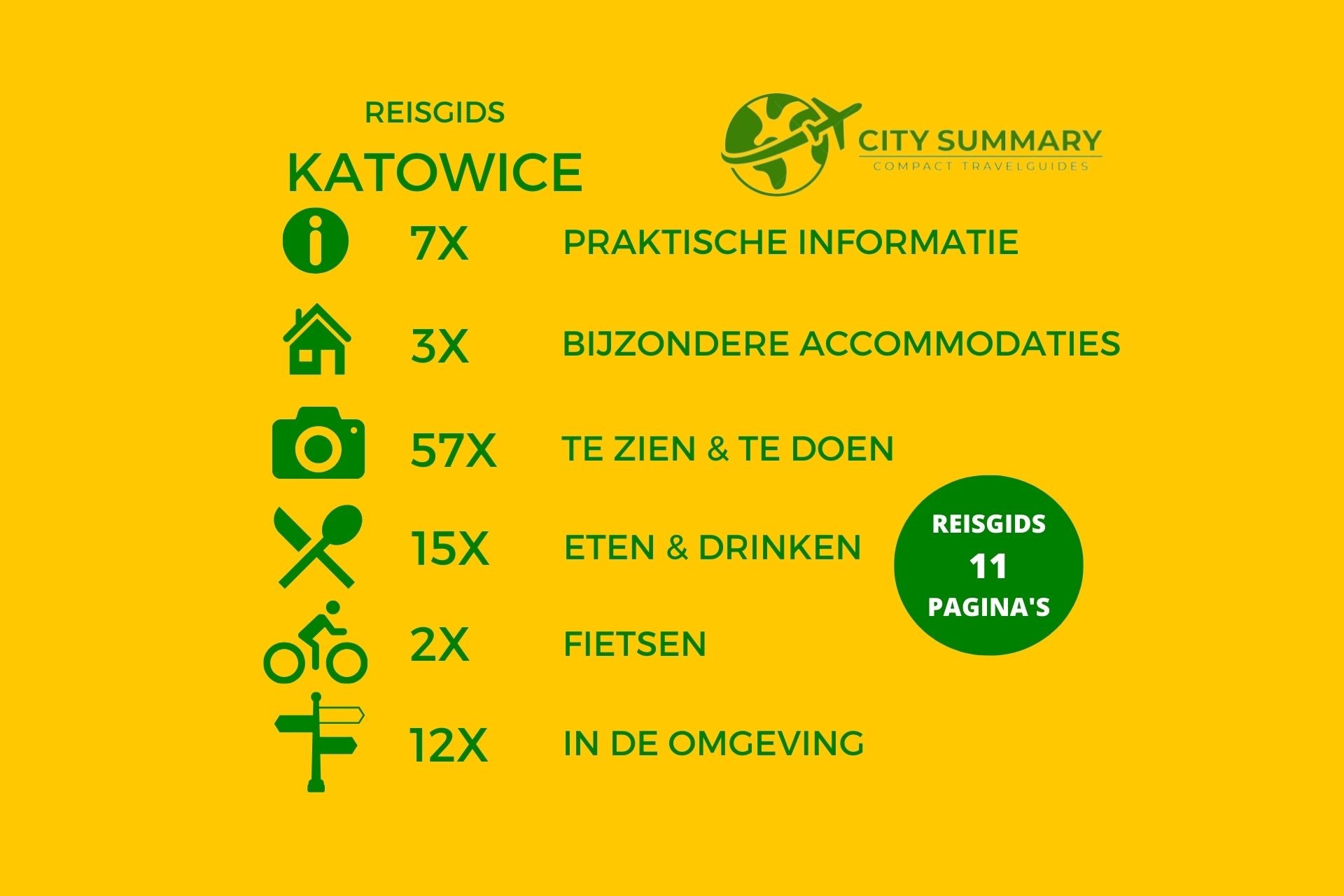 Infographic inhoud reisgids Katowice