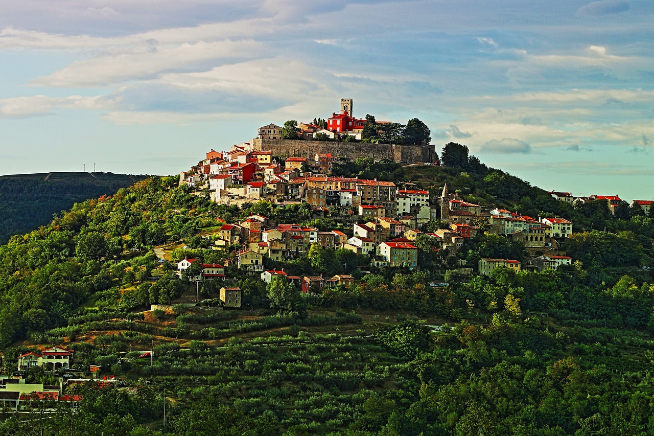 Foto van het dorpje Motovun, Kroatië op een heuvel omringd door bossen