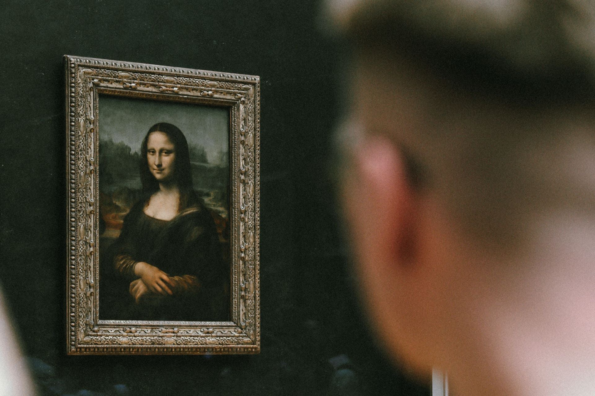 Schilderij Mona Lisa in Parijs met op de voorgrond iemand die er naar kijkt
