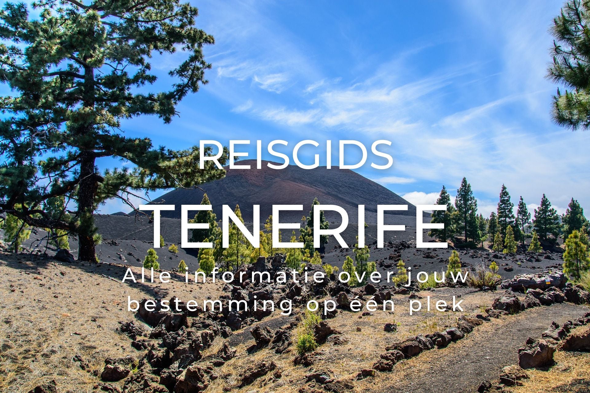 Reisgids Tenerife met alle bezienswaardigheden stranden dorpjes restaurants hotspots leukste tips