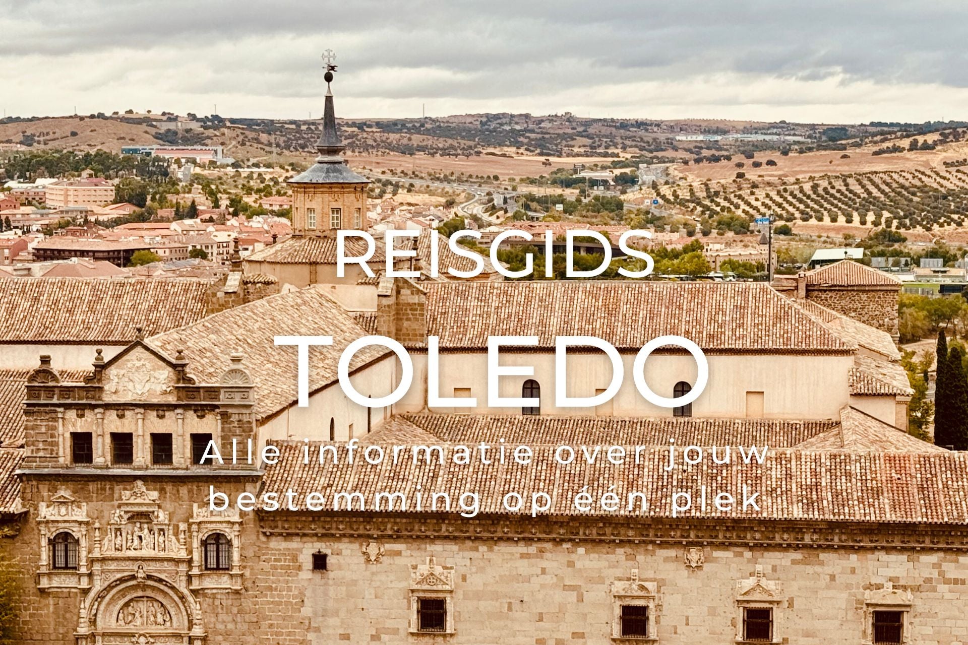 CitySummary reisgids Toledo met zicht op kerken en paleizen