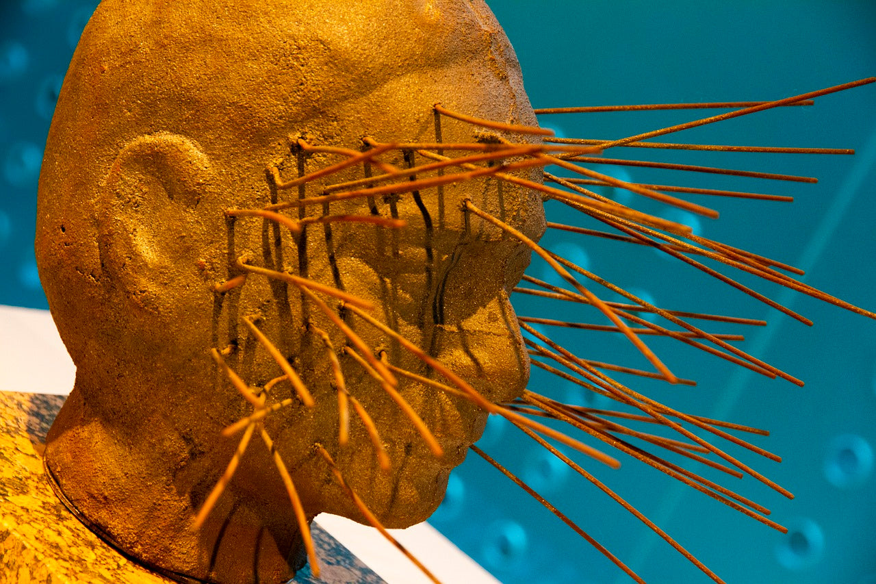 Kunstwerk oranje kop met sprieten erin