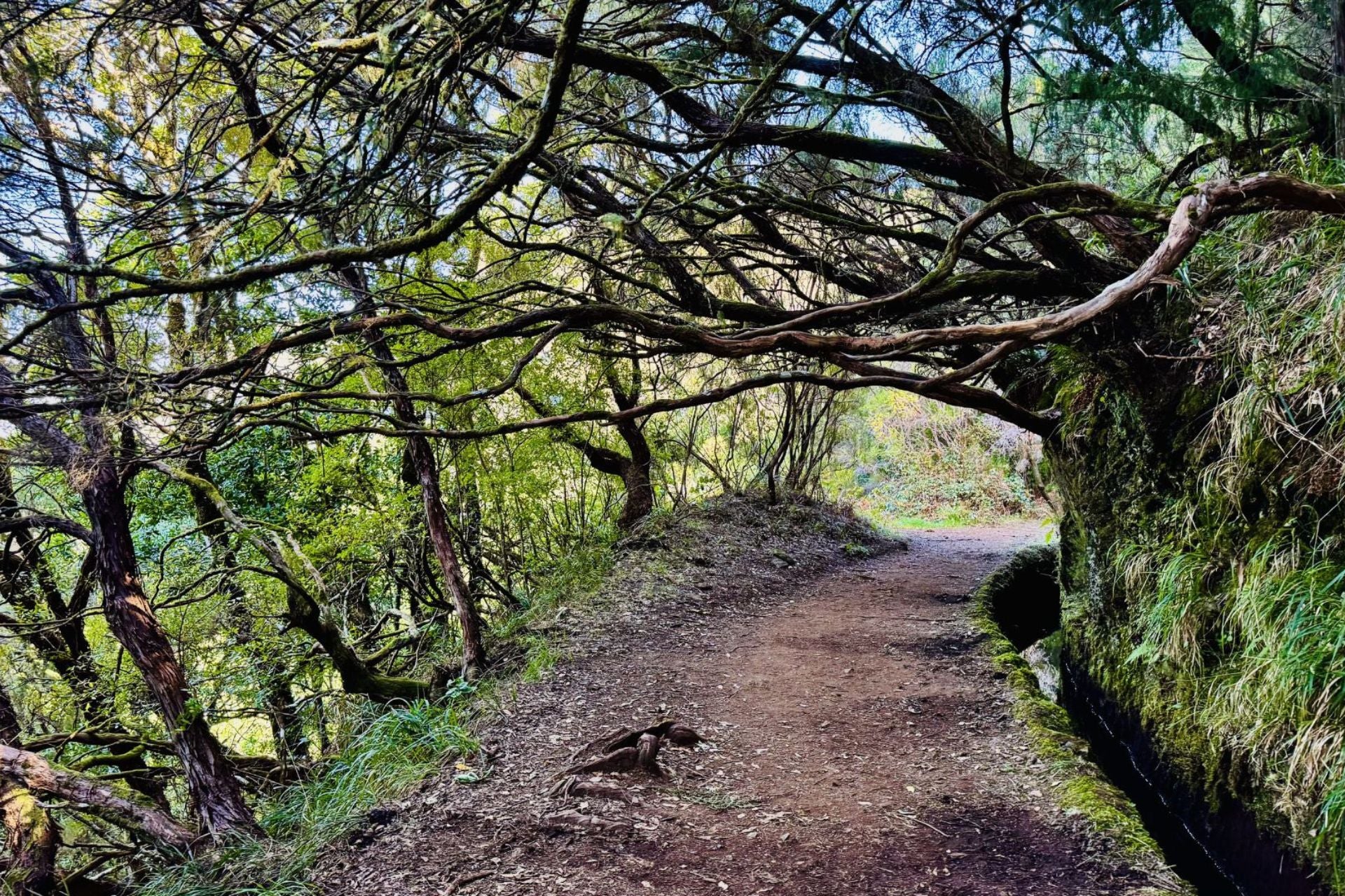 Wandelen langs de levada's is geweldig wat een uitzichten actieve vakantie